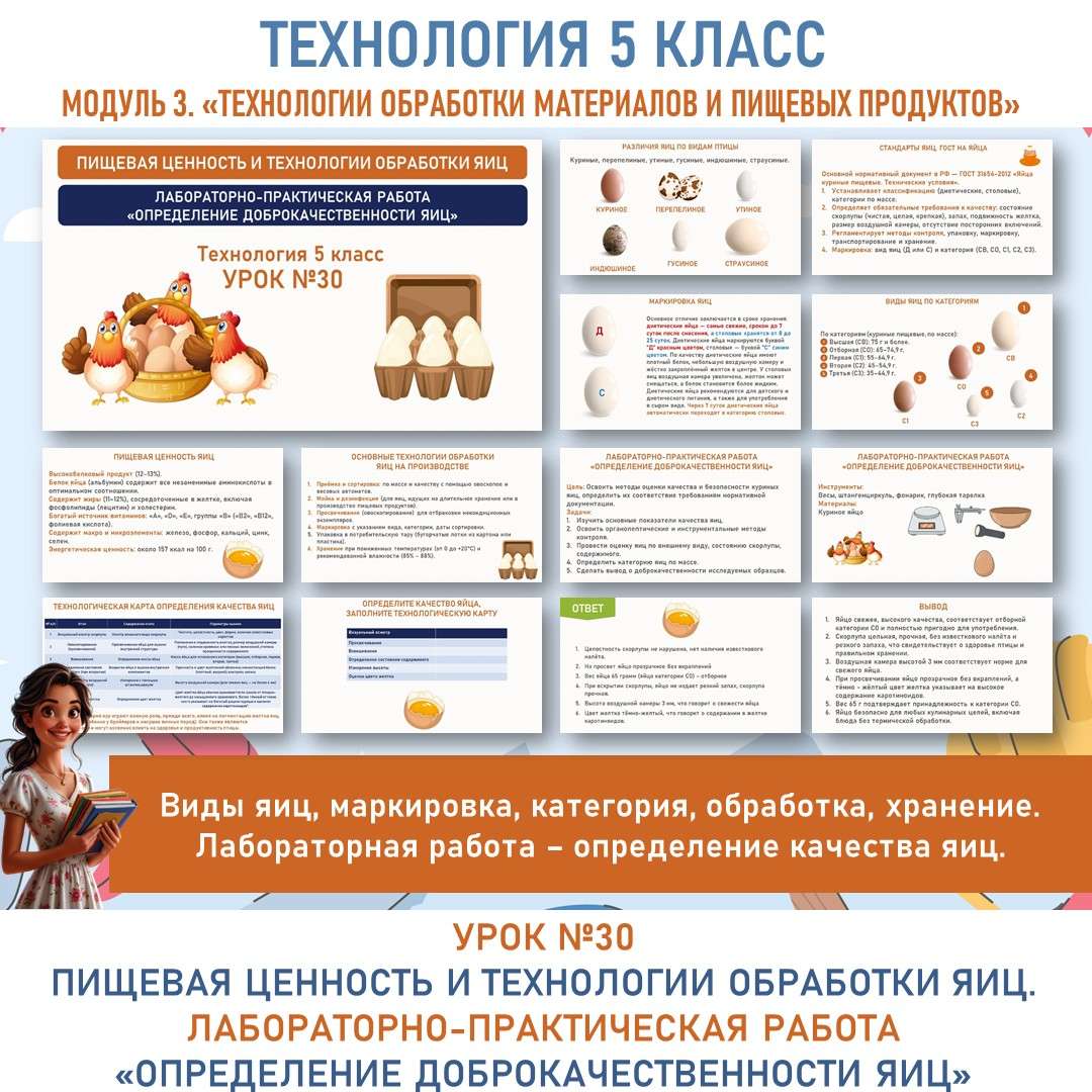 Пищевая ценность и технологии обработки яиц. Лабораторно-практическая работа «Определение доброкачественности яиц». Труд (технология) 5 класс. Урок №30.